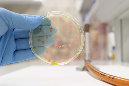 Диагностика энтероколита Диагностика энтероколита