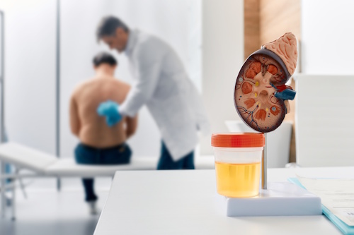 Диагностика пиелонефрита Диагностика пиелонефрита